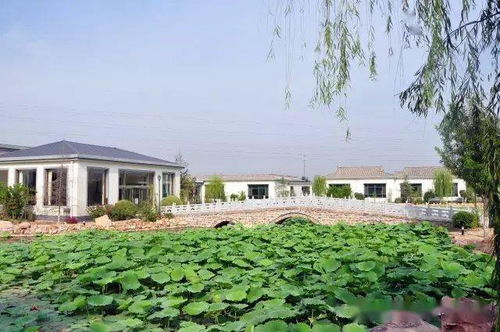 沙河 兩家園區(qū)獲a等次