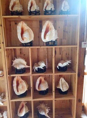 天賜福地--生態(tài)園,不一樣的農(nóng)產(chǎn)品