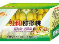 桂林綠色香生態園 山水間的生態綠洲，可持續發展的文旅新名片