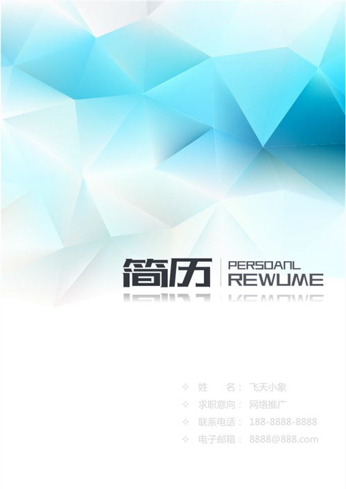 網(wǎng)絡(luò)技術(shù)服務(wù)簡歷模板